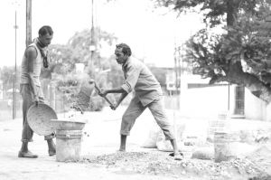 विश्व फोटोग्राफी दिवस के अवसर पर फोटोग्राफी प्रतियोगिता के परिणाम 2019