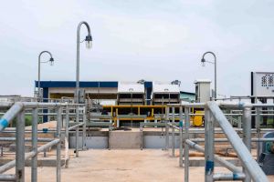 विश्व फोटोग्राफी दिवस के अवसर पर फोटोग्राफी प्रतियोगिता के परिणाम 2019