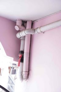 विश्व फोटोग्राफी दिवस के अवसर पर फोटोग्राफी प्रतियोगिता के परिणाम 2019