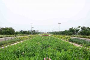 विश्व फोटोग्राफी दिवस के अवसर पर फोटोग्राफी प्रतियोगिता के परिणाम 2019