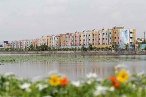 विश्व फोटोग्राफी दिवस के अवसर पर फोटोग्राफी प्रतियोगिता के परिणाम 2019